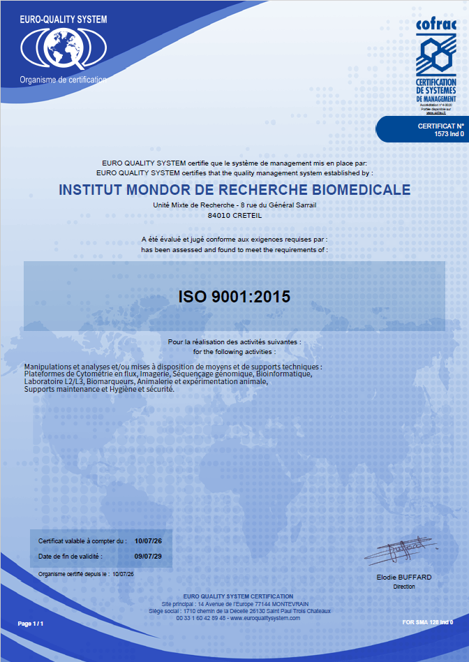 iso_9001_092026